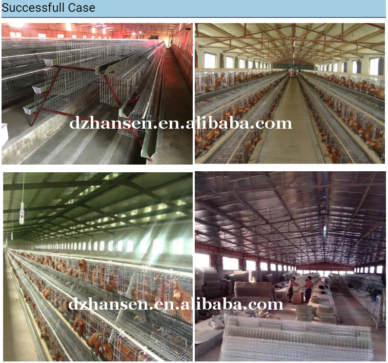 high quality cages chicken battery chicken cage for layer chicken poultry farm in Nigeria