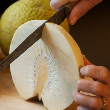 ATL GLOBAL -  Fresh Bread fruit with high quality from Vietnam( Whatsapp: +84975262928, Helen)