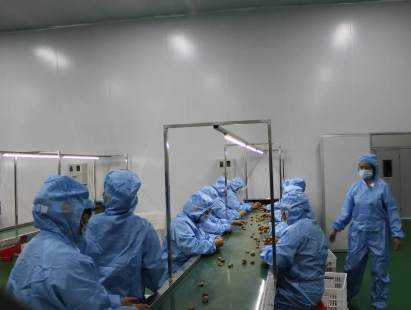 
hot sale dried shiitake mushroom organic heathy 