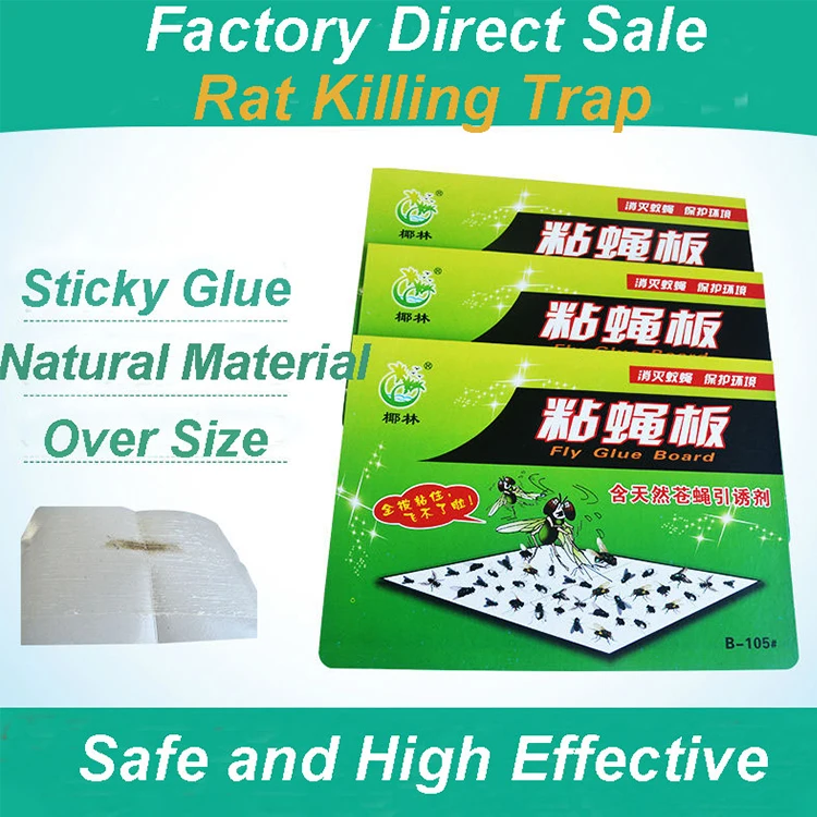 Pest Control Equipment Fly Catcher Paper Sticky Trap Hanging Glue Board Fly Trap