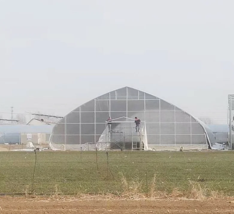 High strength Agricultural poly tunnel Green House/tomato greenhouse for sale