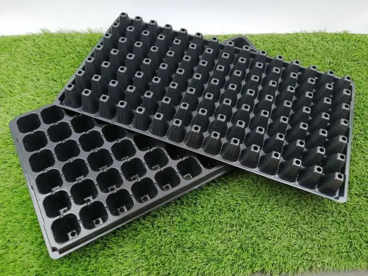 Vegetable Chili Pepper Succulent Strawberry Grow Seedling 72 Hole Tray PS Material 150g 100pcs Seedling Tray