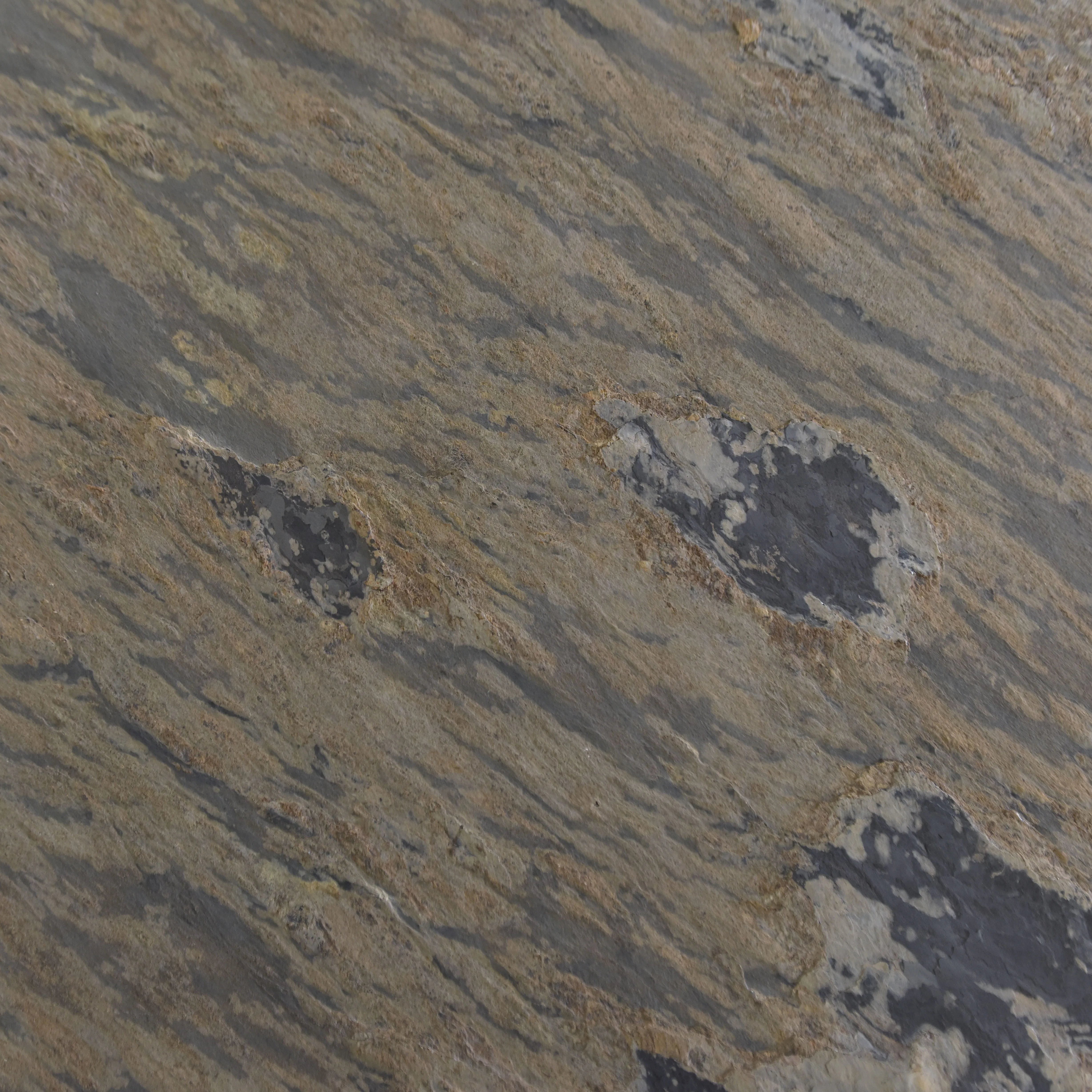 Hot Selling Premium Natural Slate Siding Exterior Culture Stone Wall Panel Ultra Thin Flexible Fiberglass Backing Stone Veneer