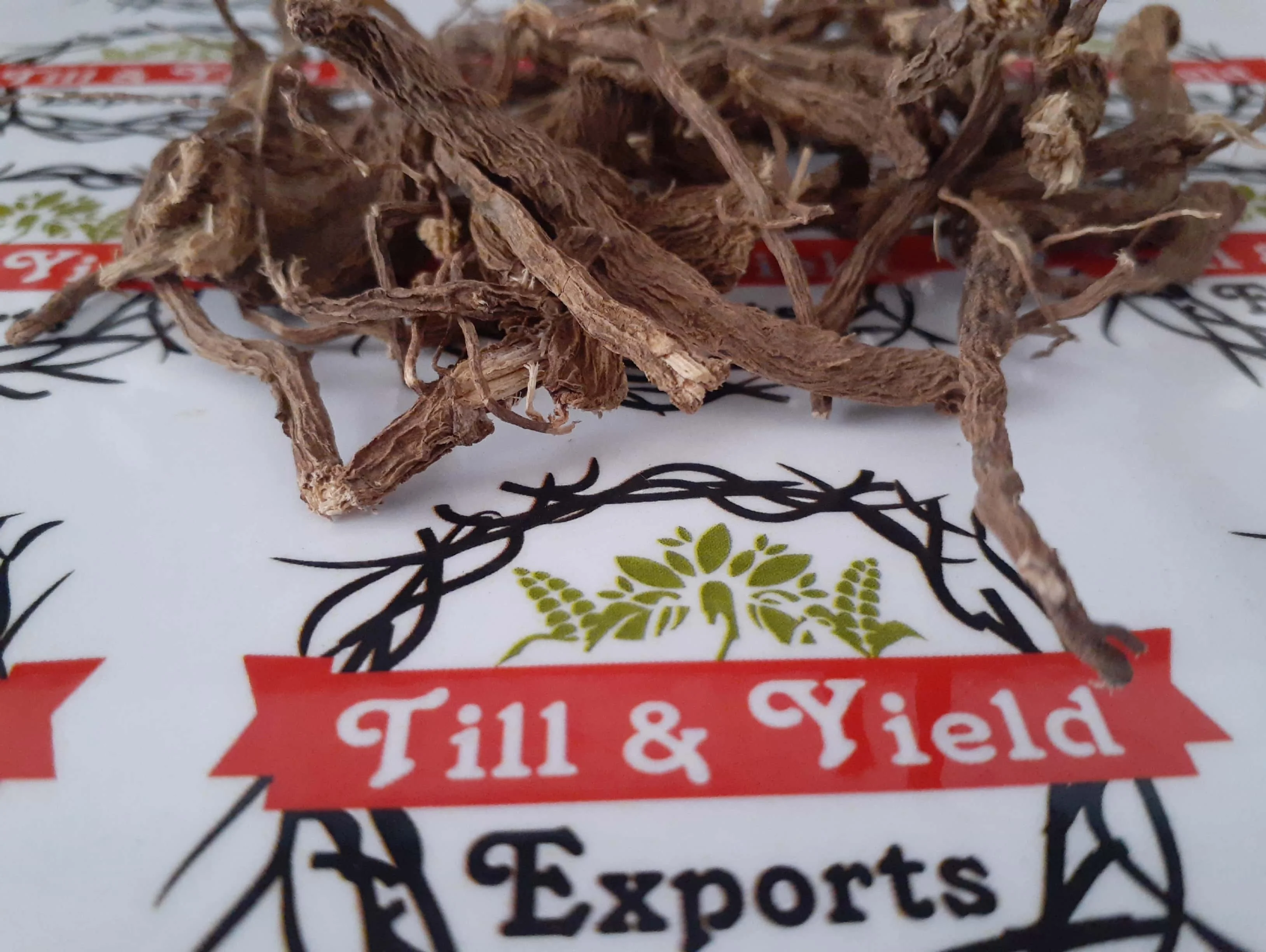 
Dry Coleus Roots - Coleus forskohli 