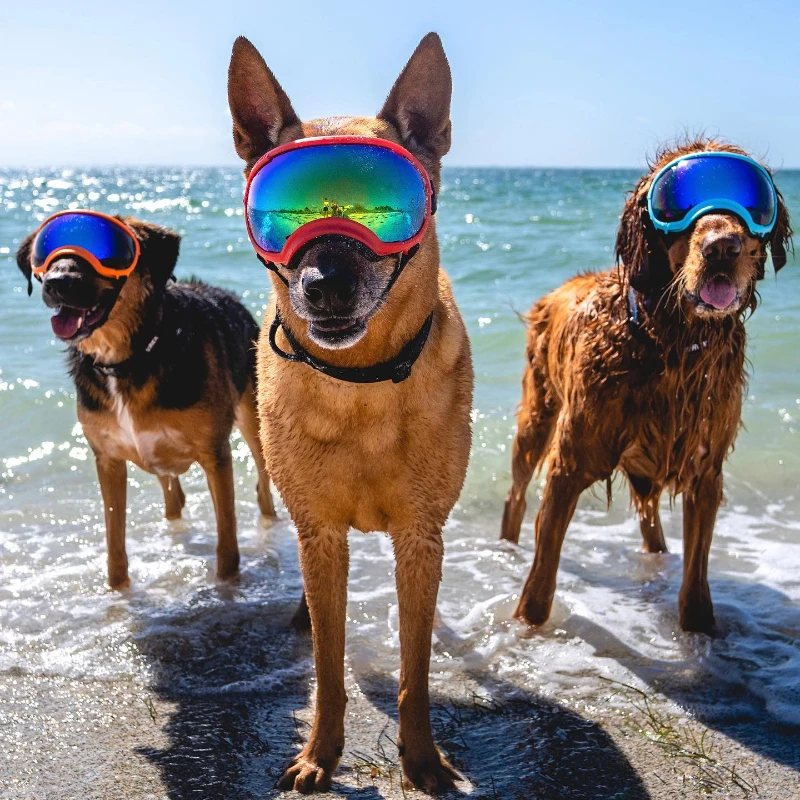 Outdoor Sports Travel Skiing UV Protection Windproof Canine Glasses Medium Large Dog Sunglass Anti-fog Dog Goggles Sunglasses