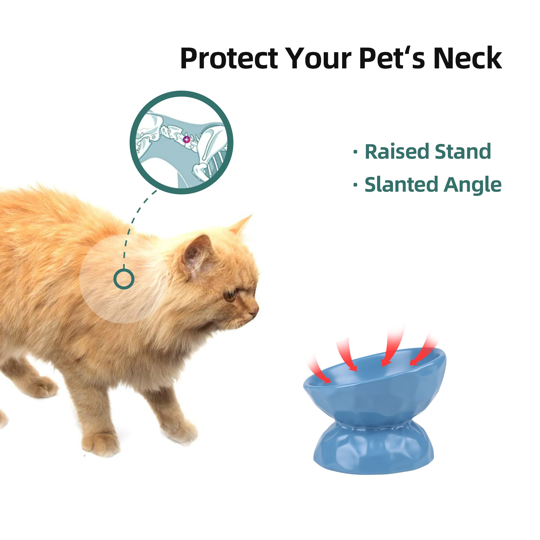 Raised Ceramic Dog Bowl Elevated Food High Food Water Pet Feeder for Puppy Medium Slanted Angle Cat Bowls Cross Border Supplier