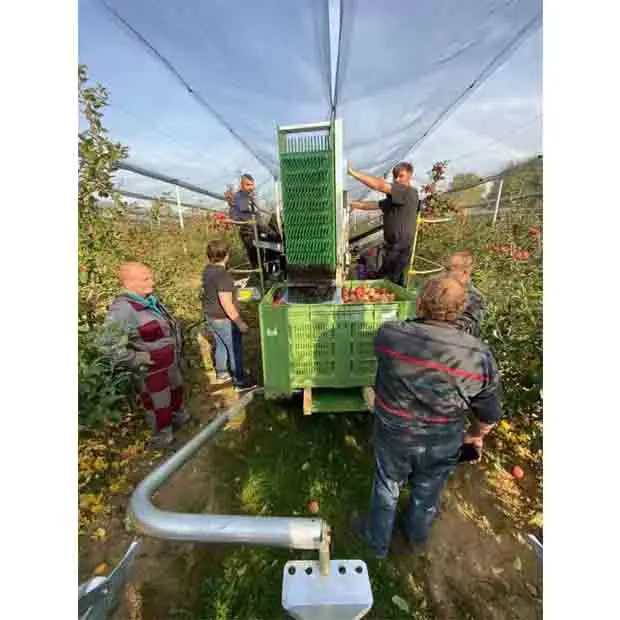 AH320 tractor fruit harvester  apple harvester with triler orchard agriculture harvester trailer