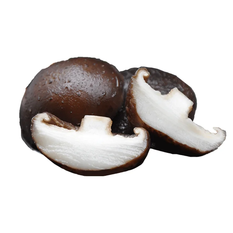 Сухой гриб Shiitake экспорт сухие грибы обезвоженная