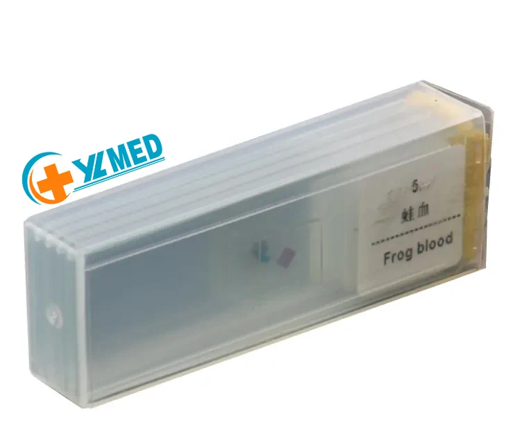 Микроскоп Bacillus subtilis smear приготовленные слайды