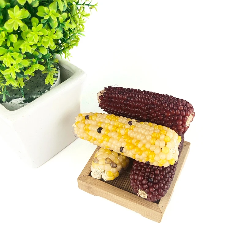 Organic Treats 3 sets in bags Hamster molar stick corn rabbit  guinea pig Sugar glider molar snack rat feed molar stick treat