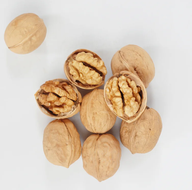 Wholesale Rich in Nutrition Walnut and Large Paper Shell Walnut from Xinjiang