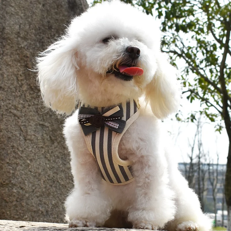 Popular Striped Outdoor Walk Soft Pet Harness Vest Pet Dog harness