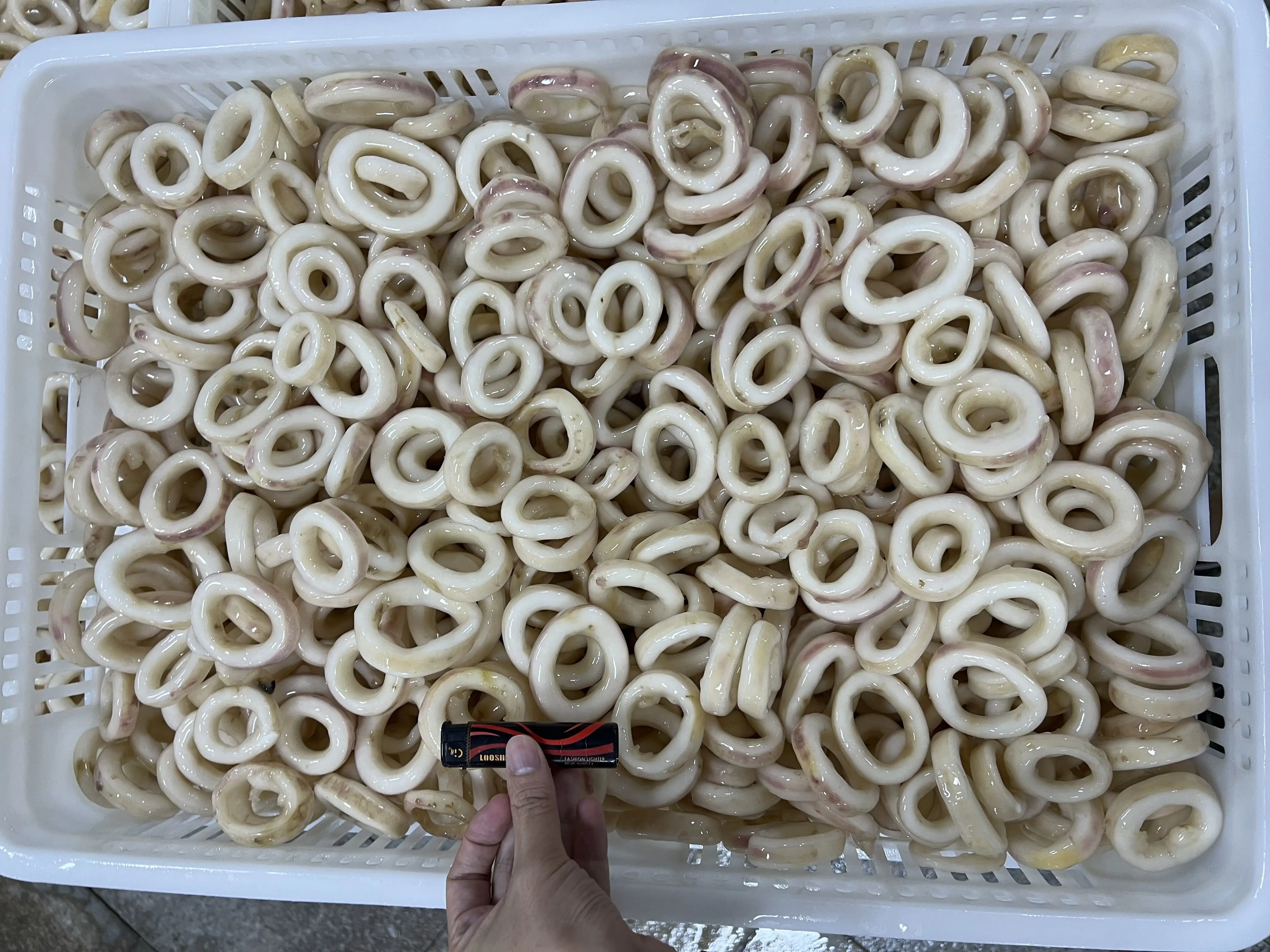 Frozen Squid Ring With Skin on Giant Peru Calamari Rings Crumb Todarodes Gigas IQF/BQF White