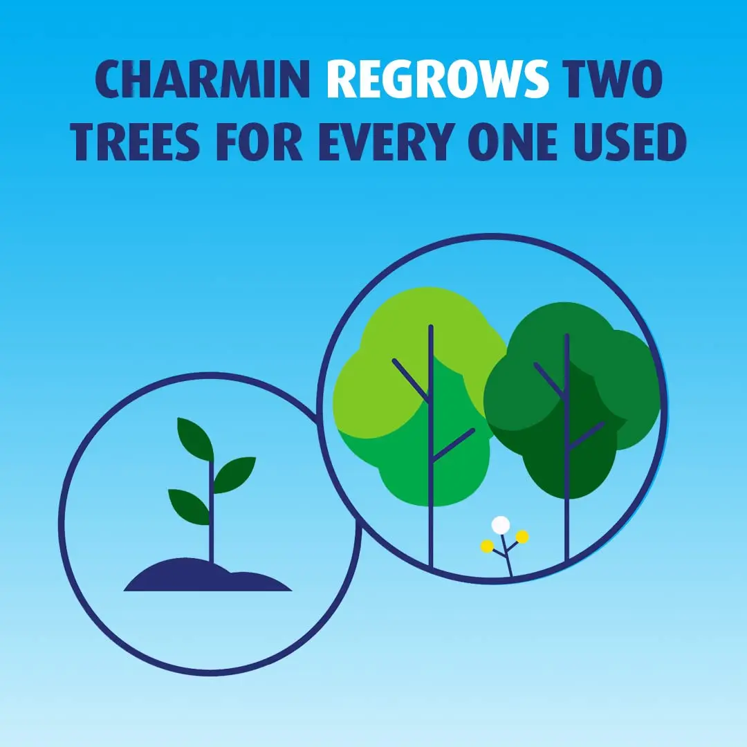 New Arrival of High Quality Charmin-Ultra Strong Clean Touch Toilet Paper In Stock
