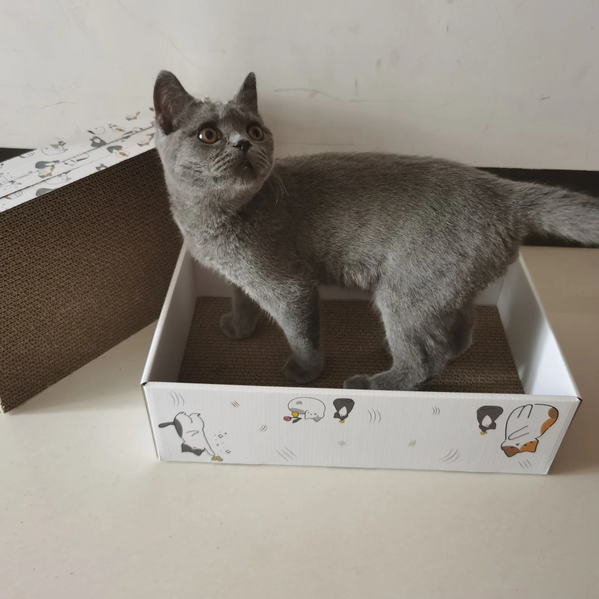 5 Pieces Cat Scratch Board Corrugated Paper Eco Friendly Cardboard Cat Scratchers Board Mat Pad For Cats