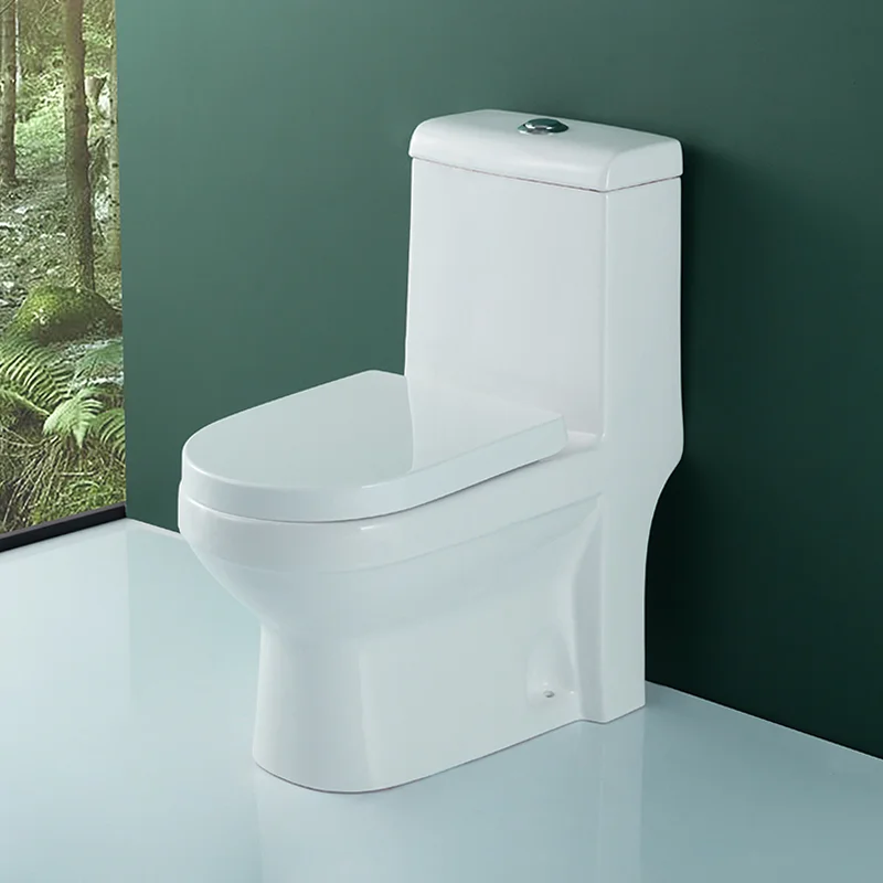 WDSI Wc Afrique Wc Toilet Mini Black Toilet Bowl