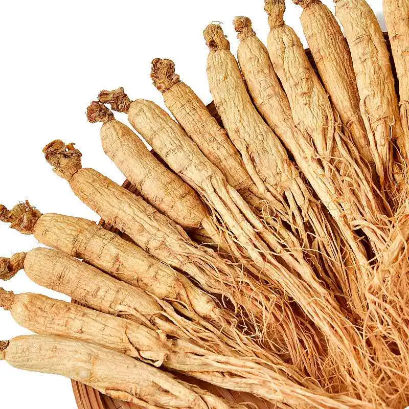 Factory Price High Quality Panax Ginseng Products Ginseng Root