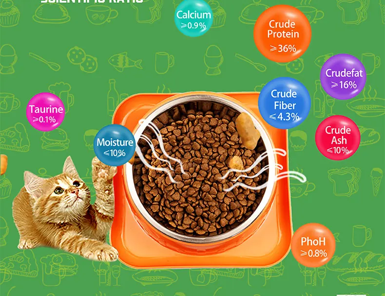 cat pet food (6)