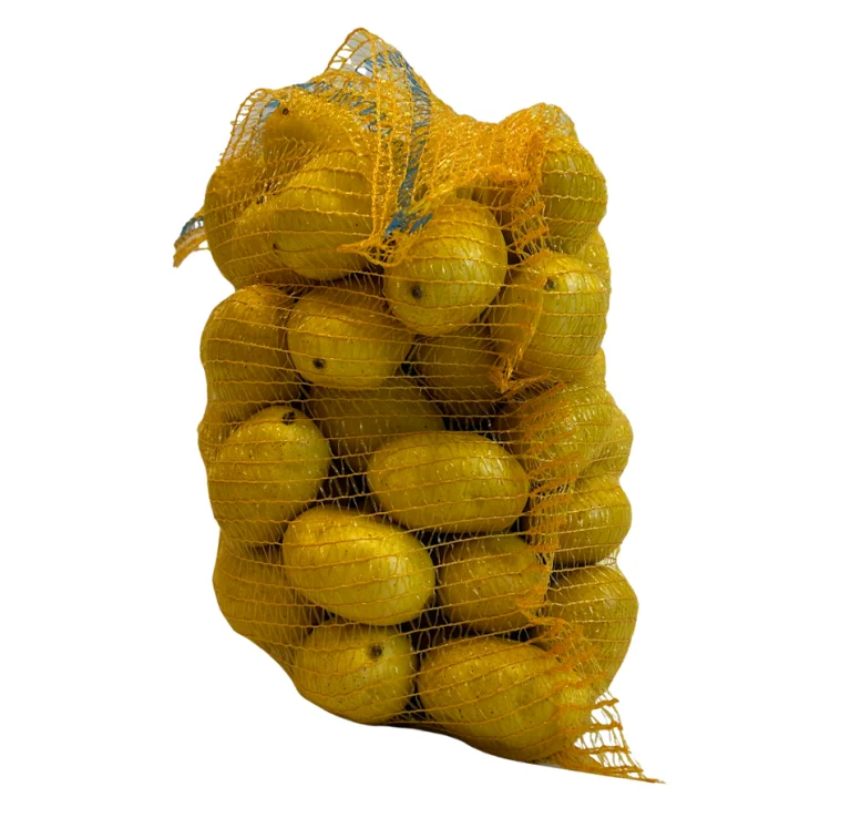 Factory direct sale recyclable plastic packaging PP net potato onion packaging bag