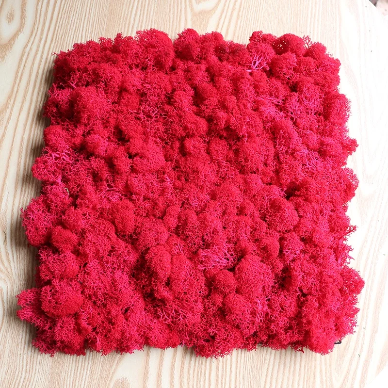 factory wholesale natural preserved reindeer flat moss panel for wall decoration