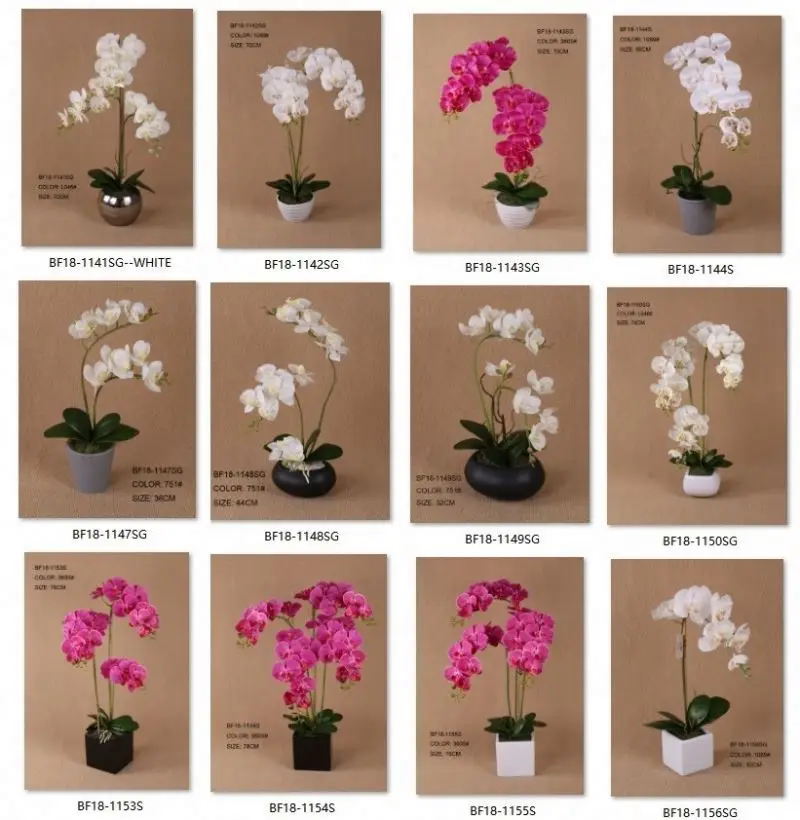 High Quality Orchids Real Touch Artificial Flowers Butterfly Orchid Hand-feel Phalaenopsis Moth Orchid For Wedding