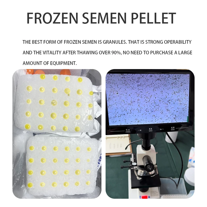 Оборудование для замороженной спермы и собак оборудование обучения методике резервуар хранения азота сухого льда