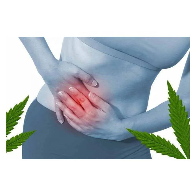  Фирменный 100% натуральный органический крем-гель конопли CBD для облегчения