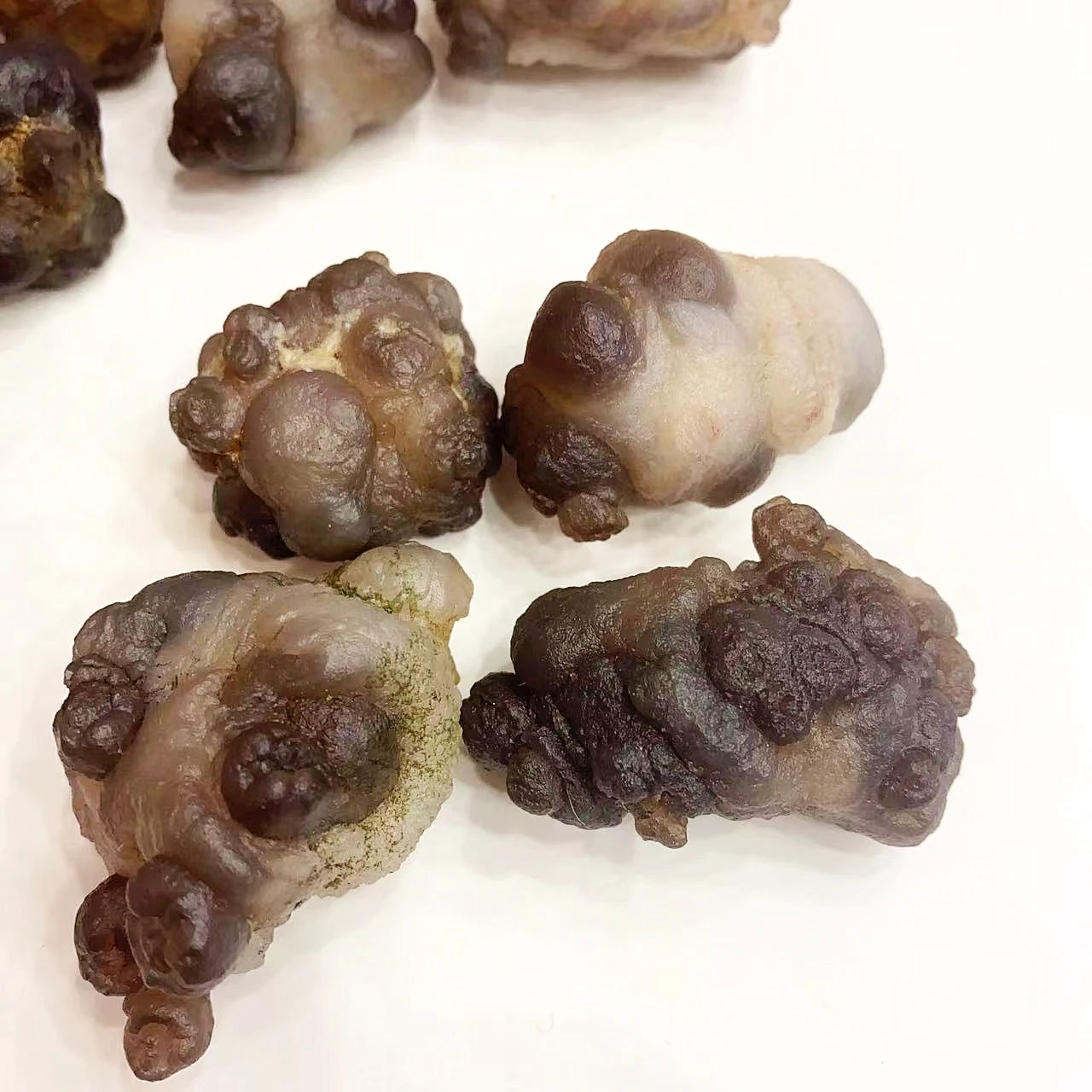 Natural Energy Mineral Crystal Stone Rough Panda Agate Pictographic Agate for Healthy Decorate