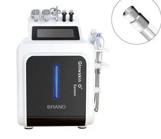 Waesen 10 in 1 mini hydro generator facial care dermabrasion machine skin lifting sparyy gun skin moisturizing beauty device