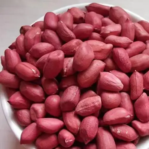 Good Quality High Quality Bold Long Groundnut Kernels Raw Peanut Kernels Without Shell peanut for animal feed