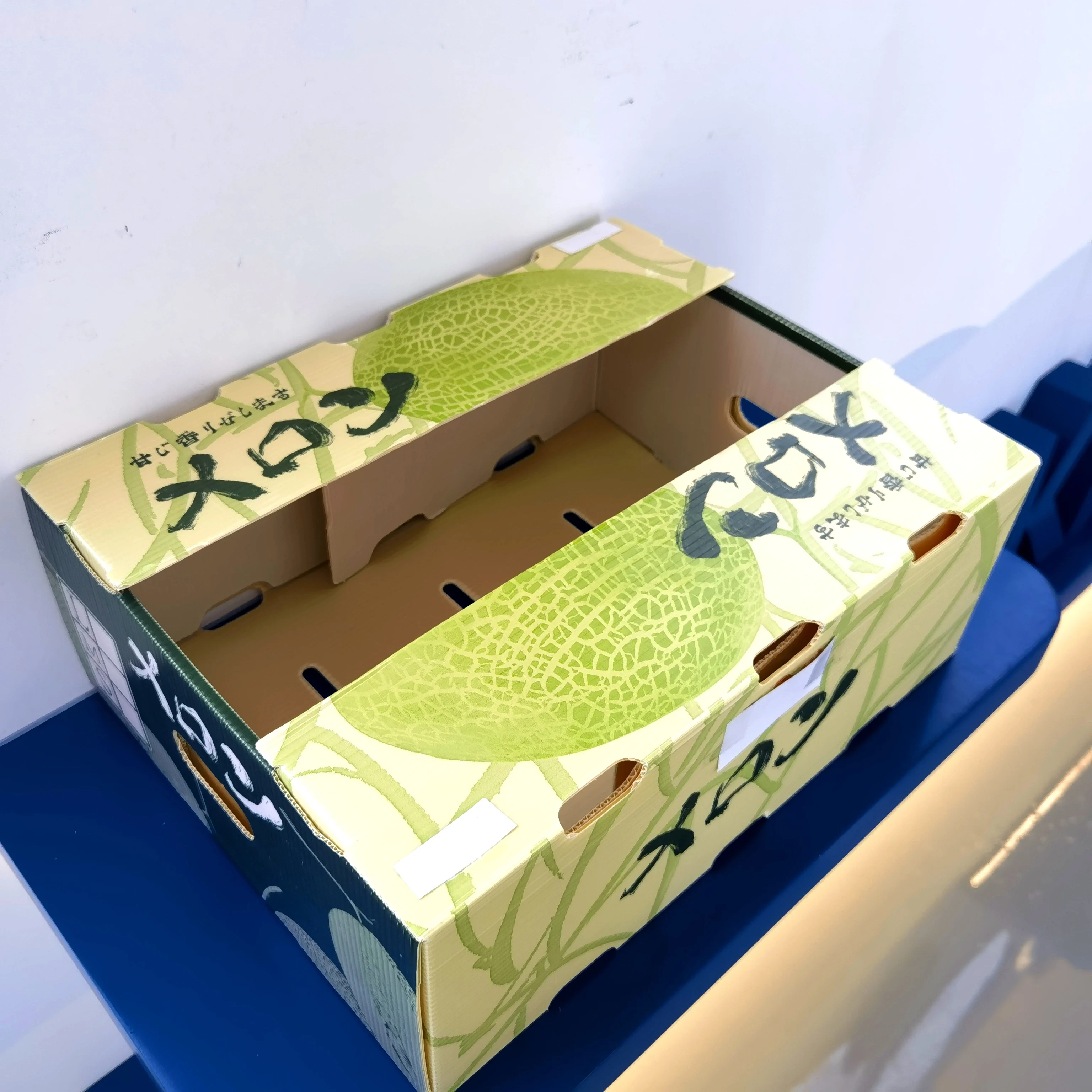 Vietnam/China Factory Corrugated Coroplast PP Waterproof Plastic Seafood Packaging Box