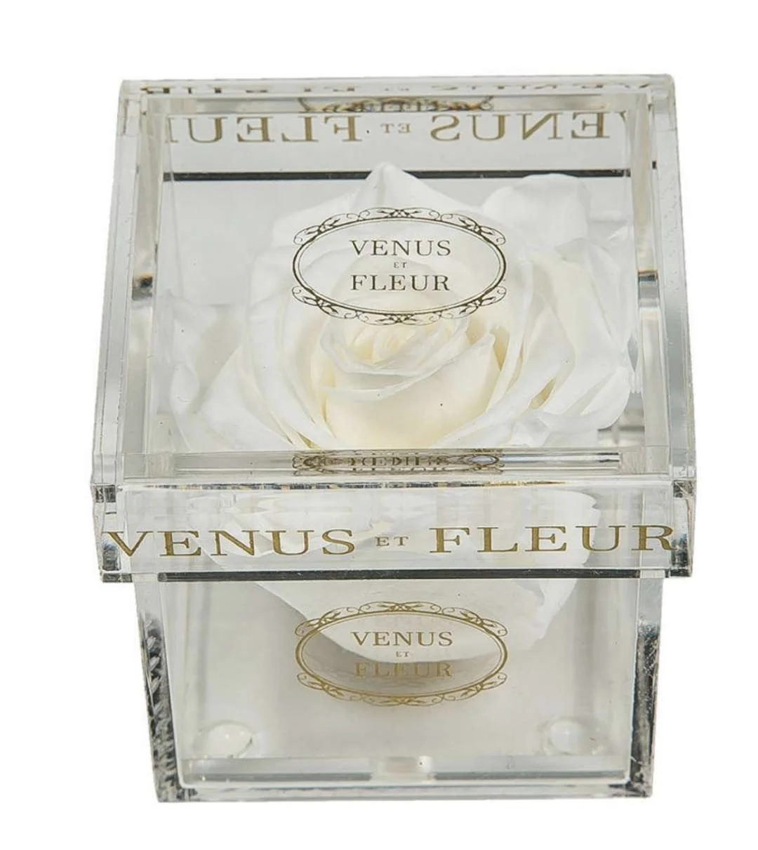 Yunnan  Factory Pricewholesale preserved roses Eternal Forever Immortal Roses preserved long lasting rose acrylic box