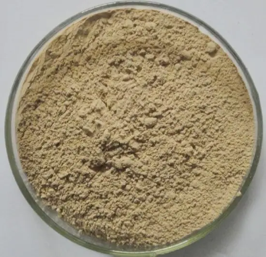Natural huperzia Serrate Extract Huperzine a powder/huperzia serrata extract