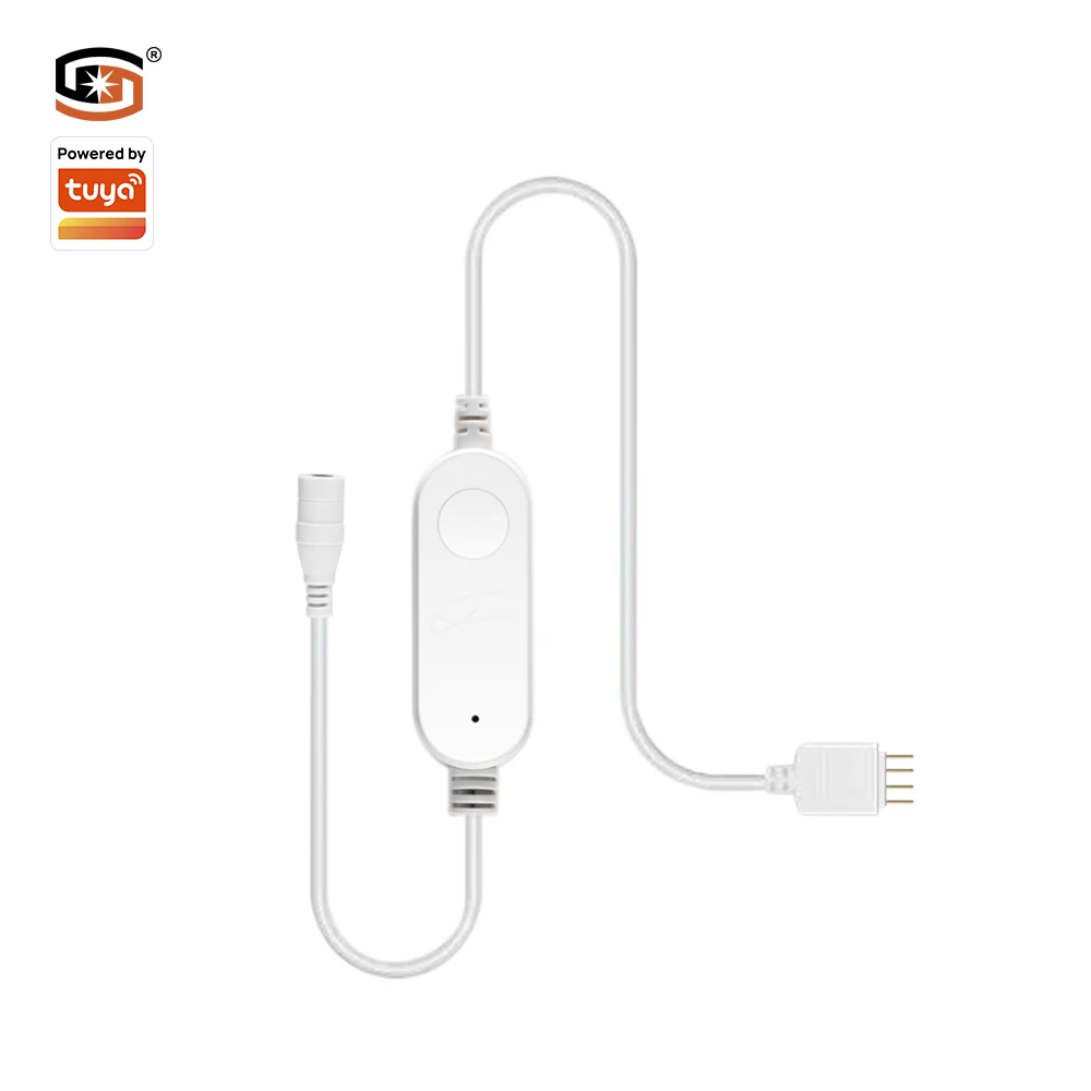 Wi-Fi Smart Controller Connect Magical Rope RGBIC Tape Lights Hotel SaaS SMD DC12V 5M Led Strip Light