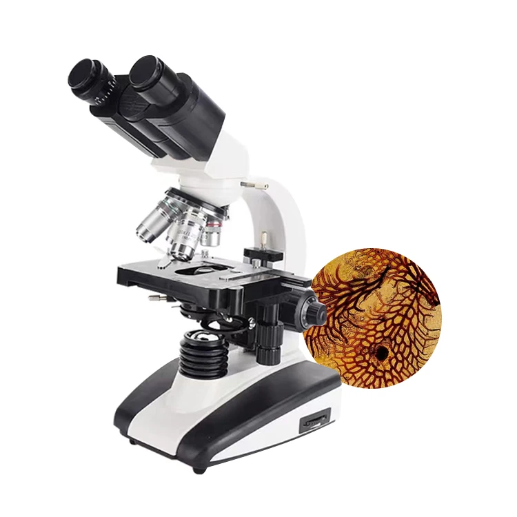 laboratory adjustable customized logo binocular stereo optical LED Halogen lamp biological microscope with factory price for lab