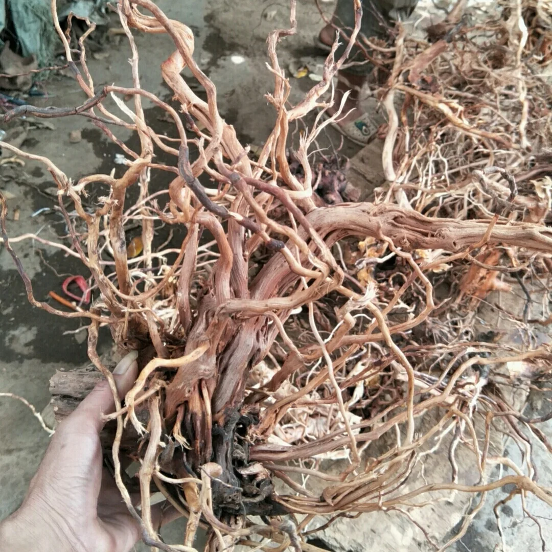 Many branches Rattan Wood Natural Driftwood Aquarium Fish Tank Plant Aquarium For Decorative