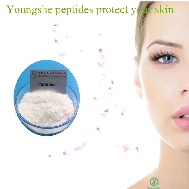 
98% purity Custom polypeptide PTD-DBM preventing the CXXC5 protein with fast delivery 