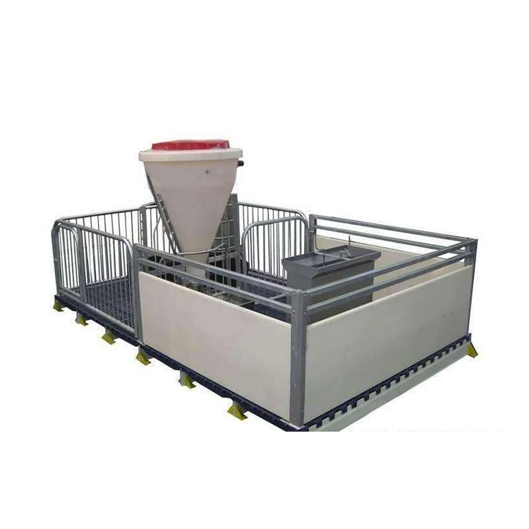 Best Galvanized Pig Weaner Nursery Crate Piggery Farm Equipment Piglet Cages Pig Pen Design for Sale