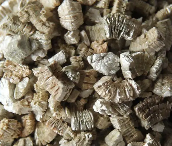 VERMICULITE Silver.jpg
