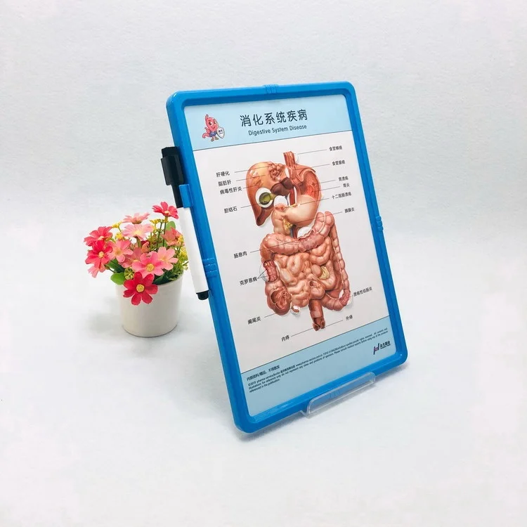 good quality 3D embossed logo medical whiteboard with  Erasable pen