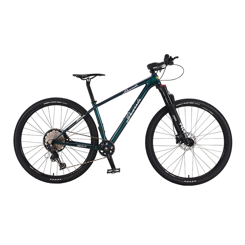 OEM Carbon fiber cycle 29 Inch 12 speed mountain bicycle good quality promotional cheap Disc brake bike for adults