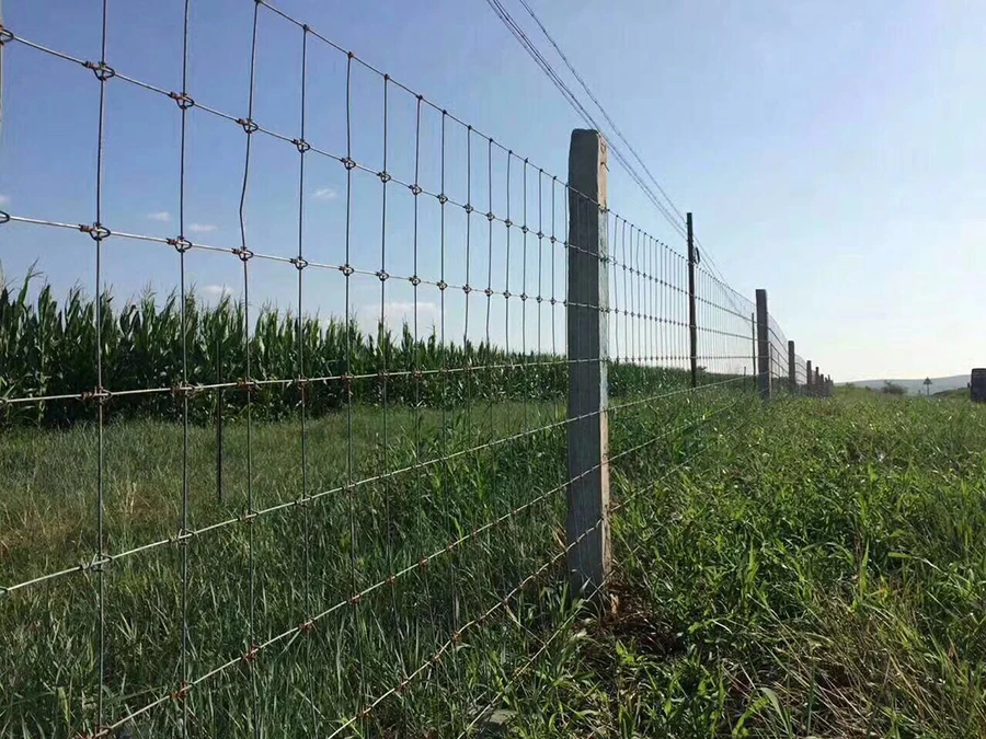 20mm32mm livestock 100m roll galvanized hinge joint 16 gauge cattle fence panels