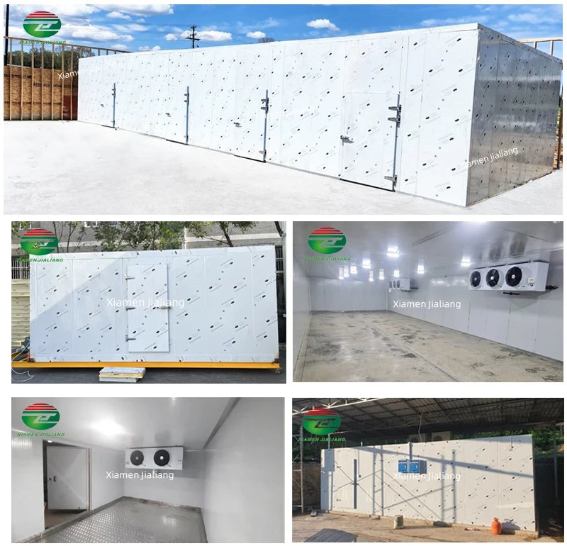 Service first and performance beer fish storage cold room cold room for dairy commercial fish chicken cold room