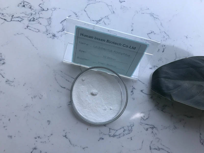 High Activity Bacterial Probiotic Lactobacillus Acidophilus Powder