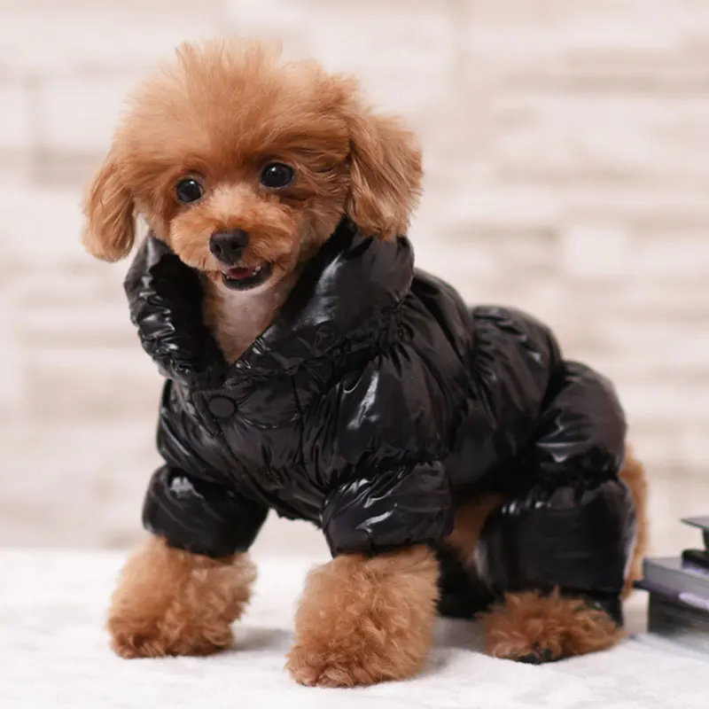 High-end luxury brand Fashionable dog jacket waterproof zipper dog clothes coat