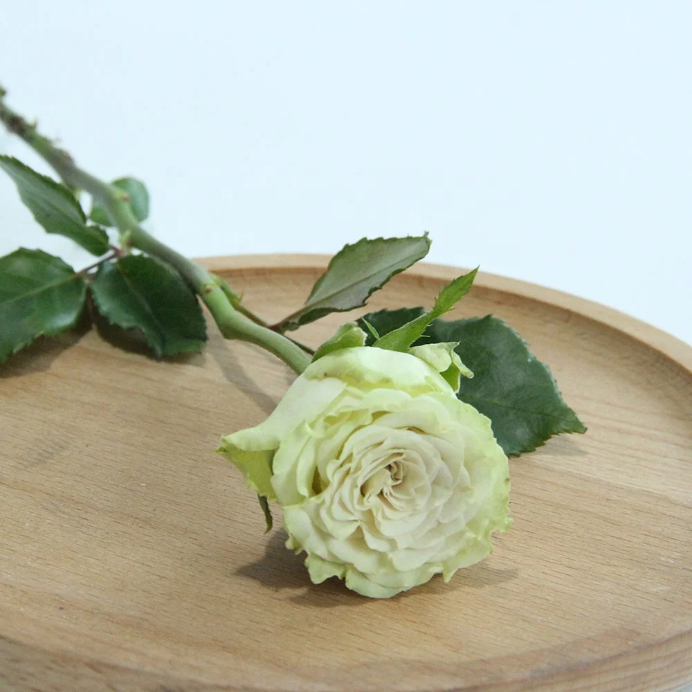 Exported Long Last Real Rose Flower Wholesale Fresh Flower Store Shop for Wedding Home Decoration