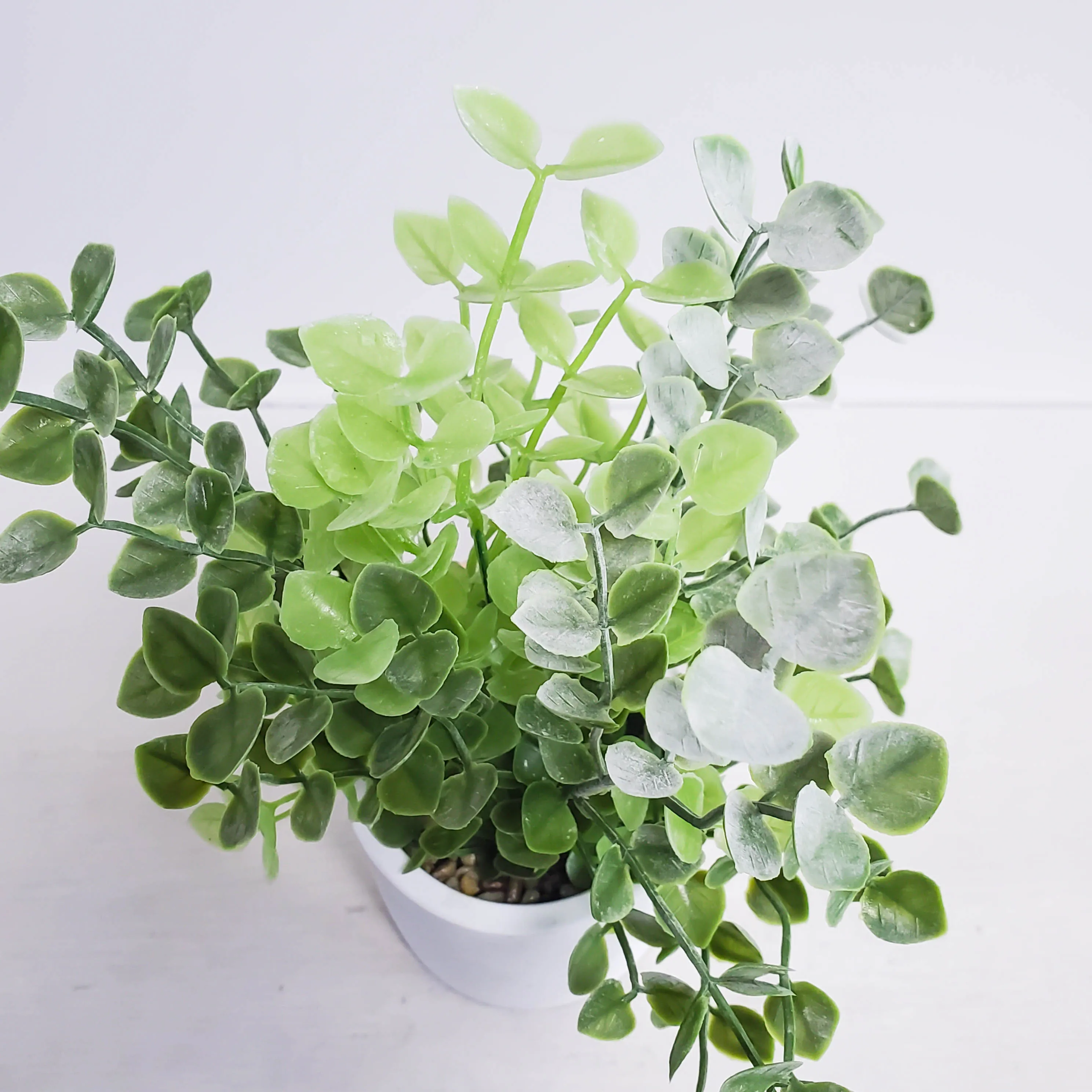 Mini Succulent Plants Artificial Plastic Potted Faux Assorted Plants for HomeTable Decoration