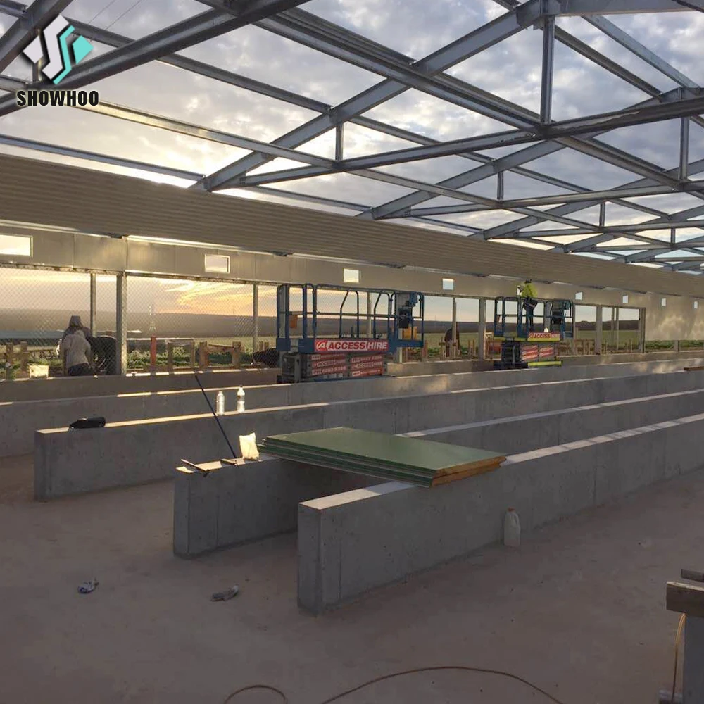 Directly Factory supplying egg layer poultry shed chicken farm house for 10000 chickens