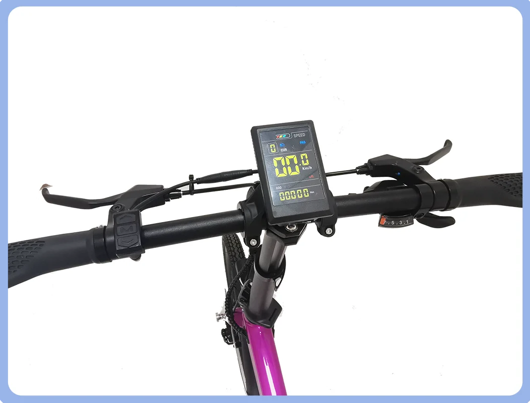 Anlochi 20inch Folding Carbon Fiber Electric Bike 36V mini 250W Carbon E Bike for adult