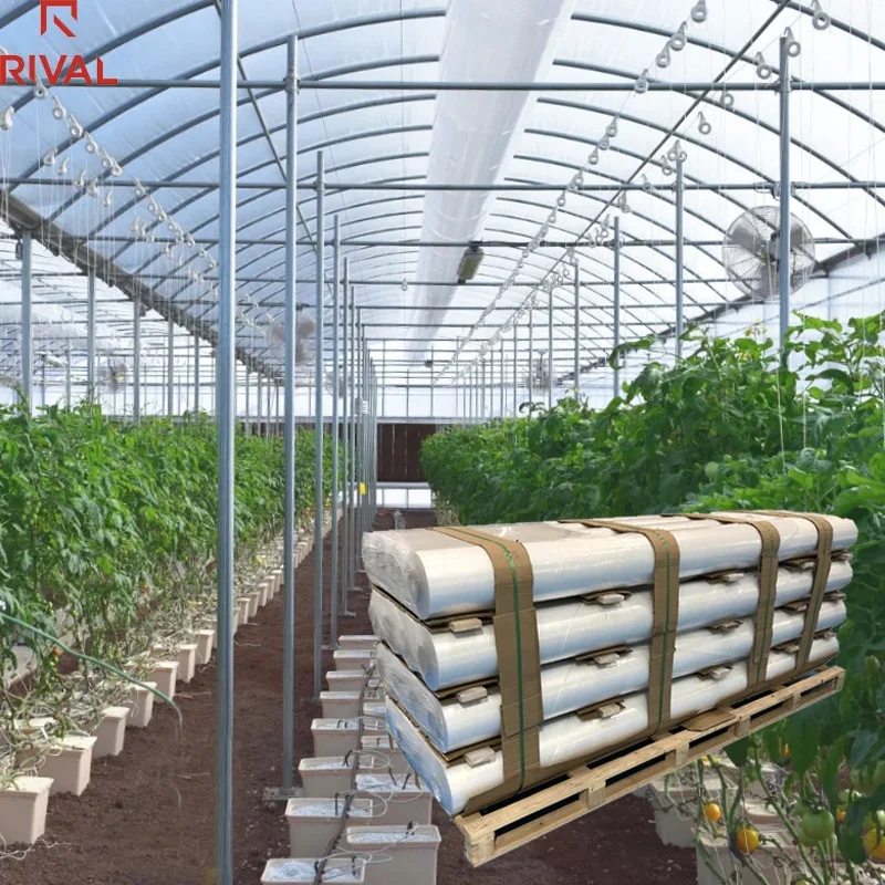 Wholesale tunnel greenhouses plastic poly sheet greenhouse film for agriculture